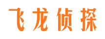 武川找人公司